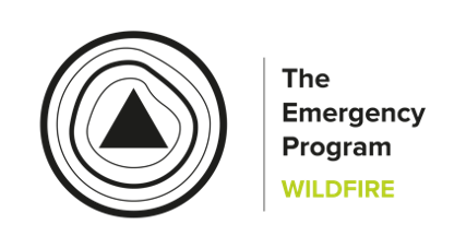 Logo The Emergency Program
